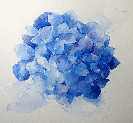 Рисуем гортензию акварелью