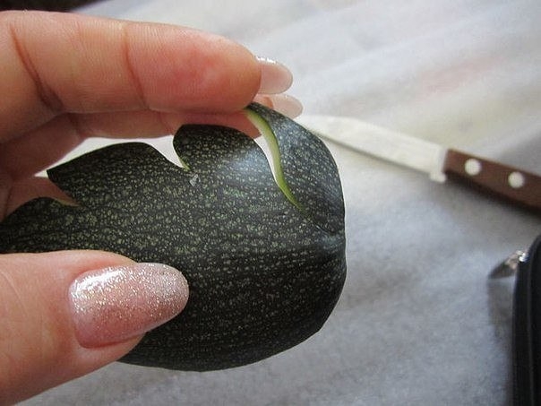 Мастер-класс по карвингу