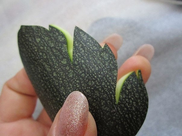 Мастер-класс по карвингу