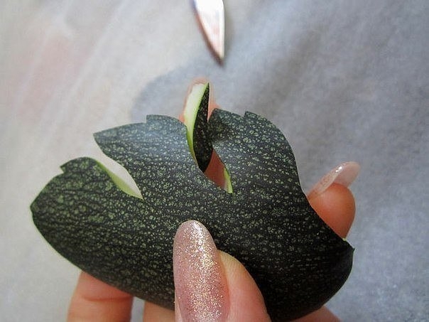 Мастер-класс по карвингу