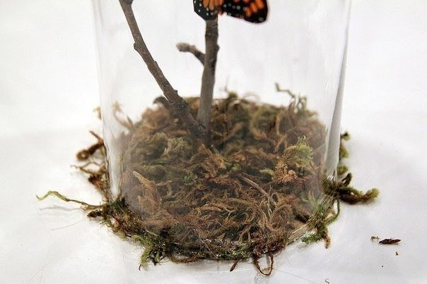 Мастерим интерьерные композиции с искусственными бабочками Мастерим интерьерные композиции с искусственными бабочками