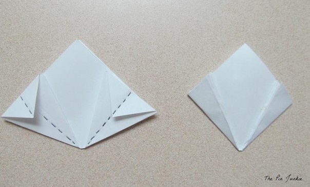 Цветы в доме Цветы в доме