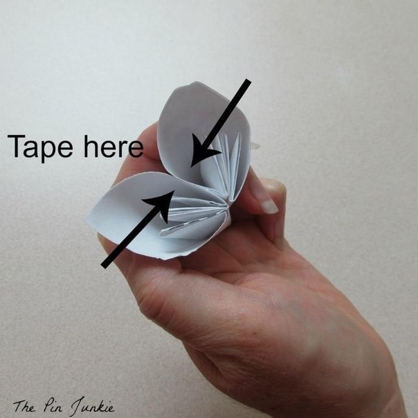 Цветы в доме Цветы в доме