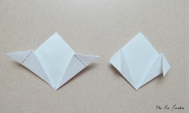 Цветы в доме Цветы в доме