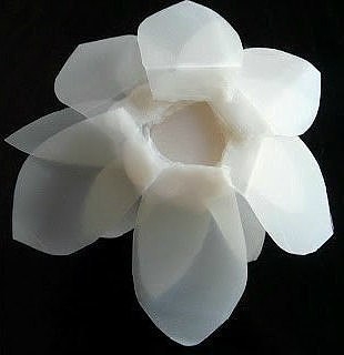 Цветы лотоса из пластиковых бутылок из-под молока