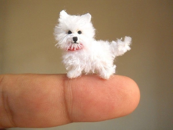 Вьетнамский мастер Su Ami вяжет крючком животных, помещающихся на вашем пальце. Вьетнамский мастер Su Ami вяжет крючком животных, помещающихся на вашем пальце.