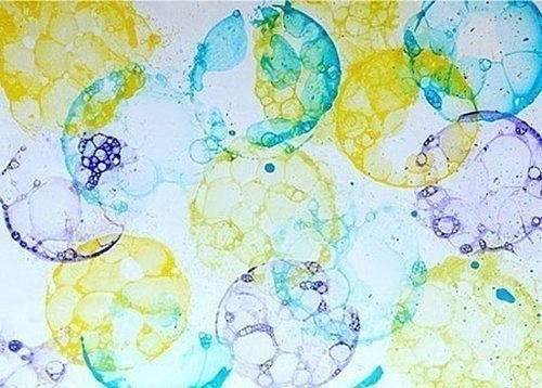 Декор мыльными пузырями Декор мыльными пузырями