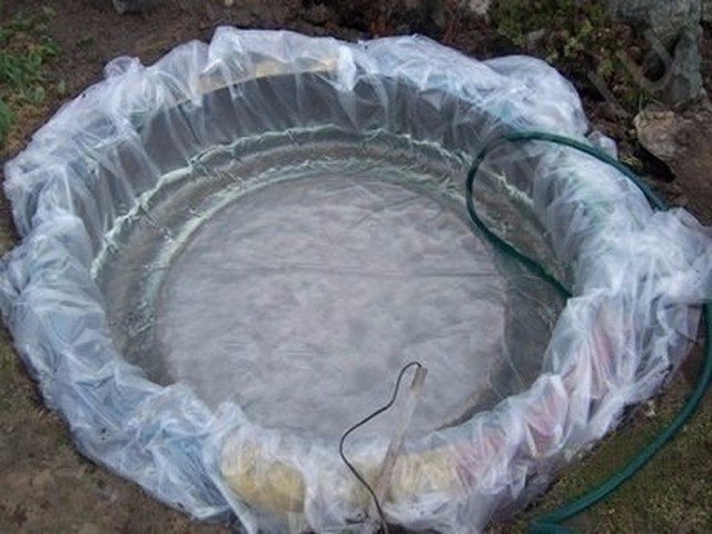 Прудик из большой покрышки