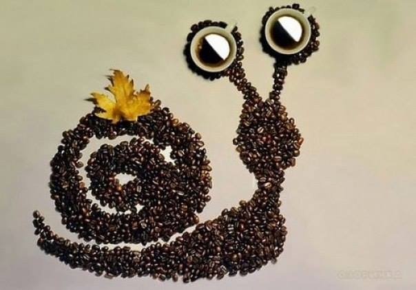 Картины из кофейных зерен. Картины из кофейных зерен.