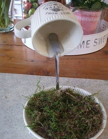 Чаша изобилия своими руками