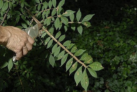 Декор садовой бочки