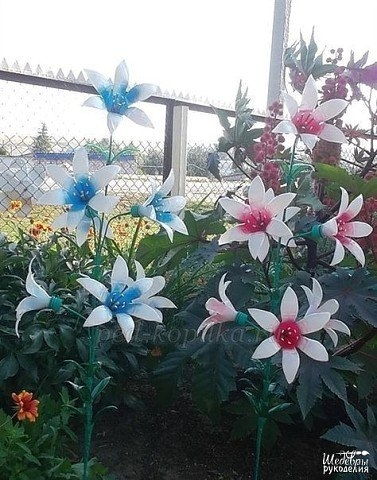 Поделки для дачи. Цветы из пластиковых бутылок. Поделки для дачи. Цветы из пластиковых бутылок.