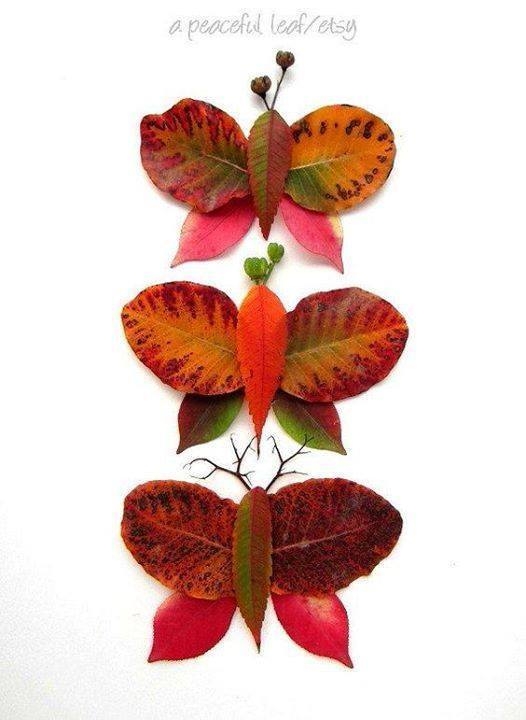 Еще одна коллекция осенних идей