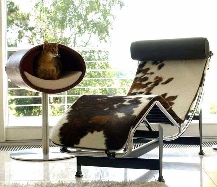 Мебель для домашних животных