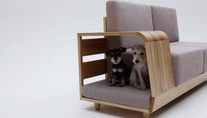 Мебель для домашних животных