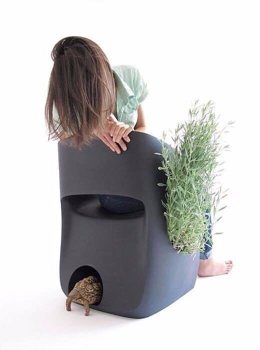 Мебель для домашних животных