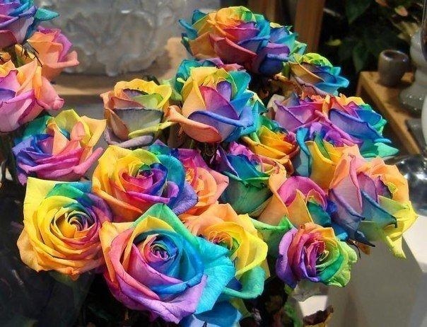 Секрет разноцветных роз