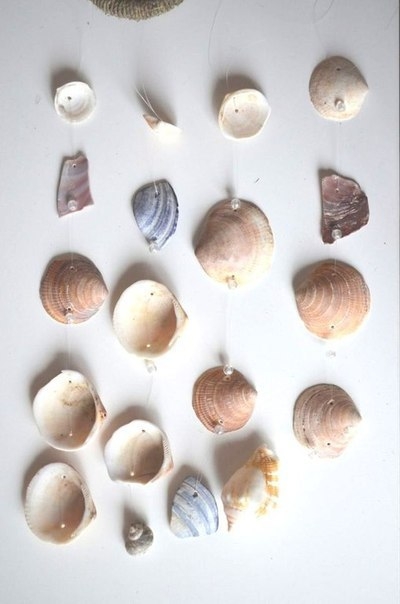 Музыка ветра из ракушек, привезенных с моря