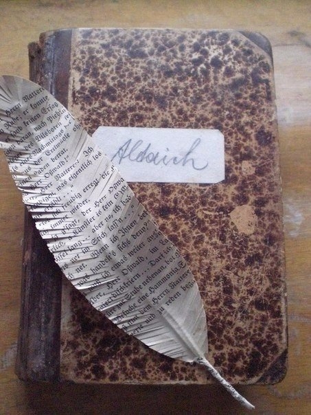 Винтажное перо для декора