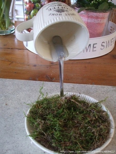 Цветочная чаша