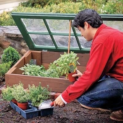 Парник из старой оконной рамы.