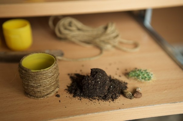 Как переехать в отдельный кашпо или Маленький домик для маленького кактуса. 