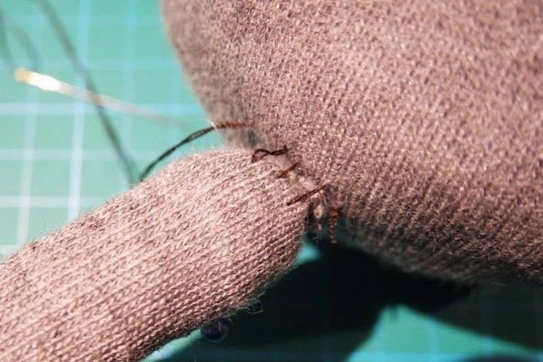 Кот из носка