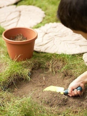 Дорожка из листьев