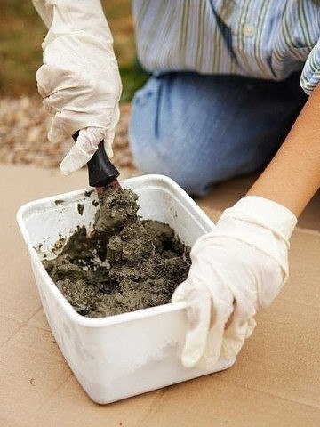 Дорожка из листьев