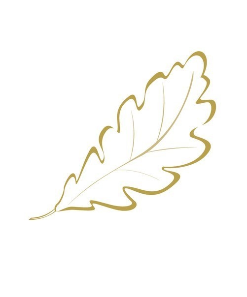 Шаблоны осенних листьев для творчества