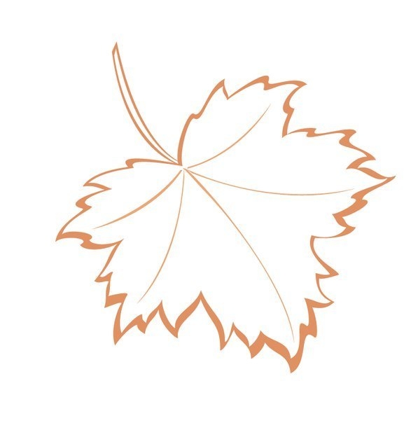 Шаблоны осенних листьев для творчества