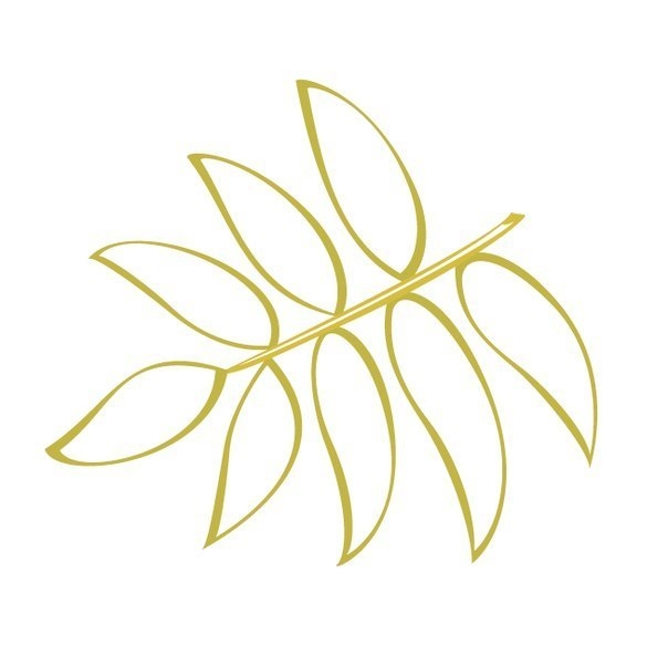 Шаблоны осенних листьев для творчества