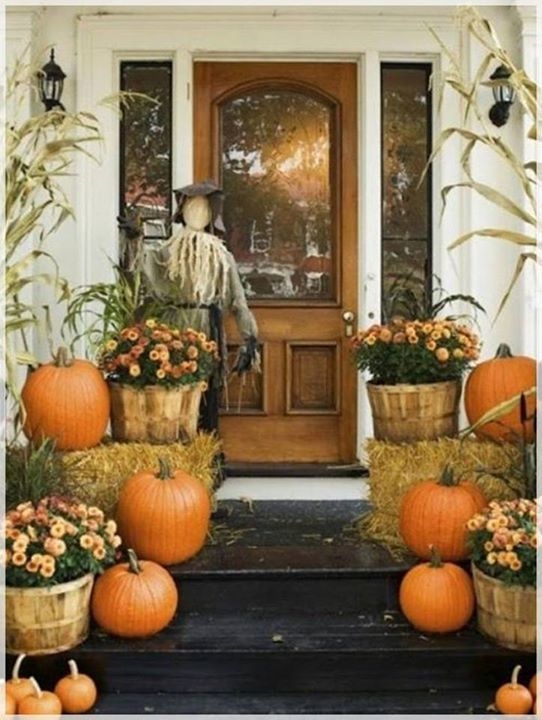 Тыковки в декоре