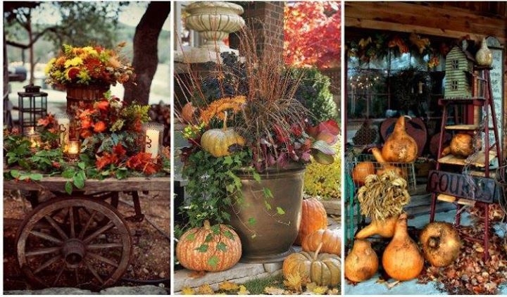 Тыковки в декоре