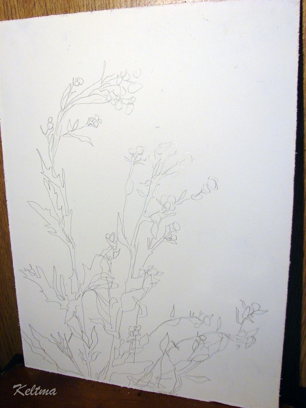 Работа с природным материалом. Тень от растения в картине