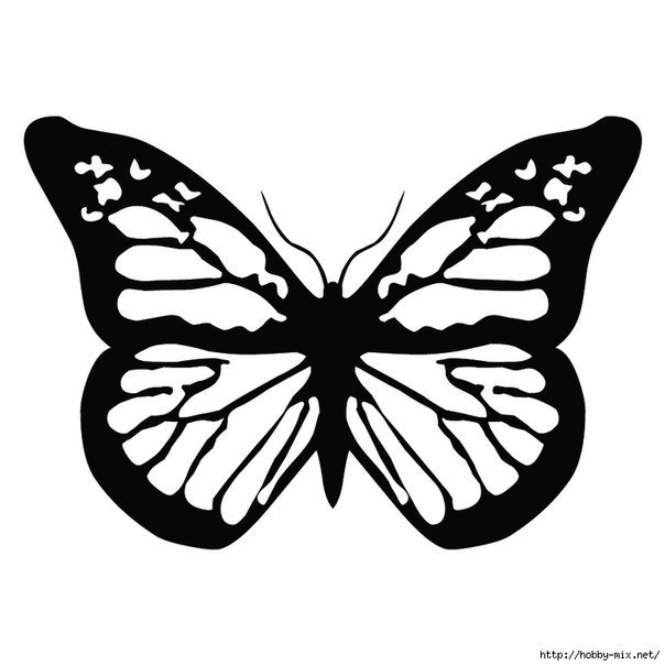 Трафареты. Красивые бабочки.
