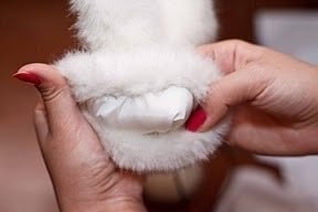 Шьем тепленькие варежки.