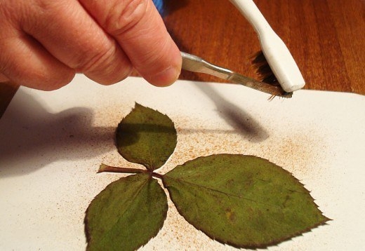 Рисуем акварелью с помощью зубной щетки