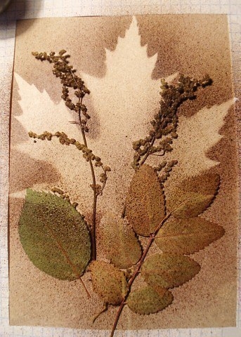 Рисуем акварелью с помощью зубной щетки