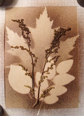 Рисуем акварелью с помощью зубной щетки