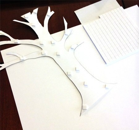 Дерево любви Дерево любви