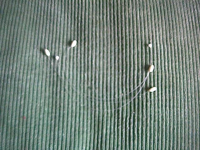 МК Цветы из ткани