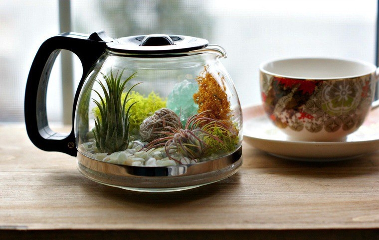 Миниатюрный сад на окошке