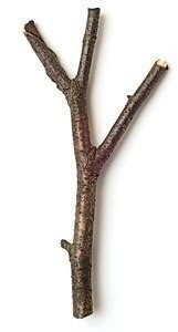 Не торопитесь выкидывать скорлупу от фисташек.