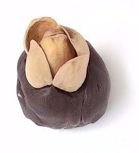 Не торопитесь выкидывать скорлупу от фисташек.