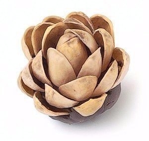 Не торопитесь выкидывать скорлупу от фисташек.