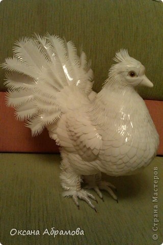 Необычно красивый голубь - из пластиковых бутылок