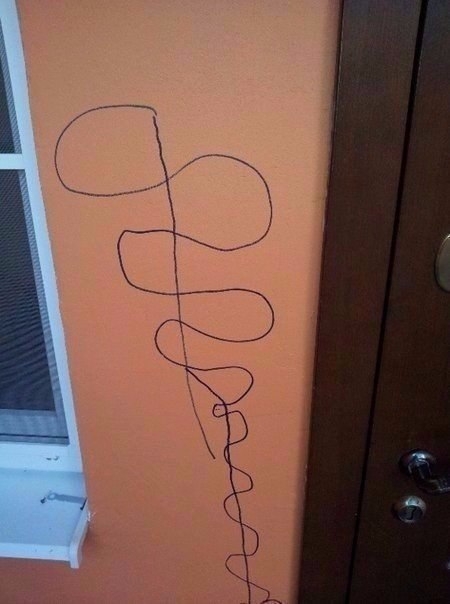 Когда дети разрисовали маркером стену возле входной двери подъезда, один из жильцов не расстроился и