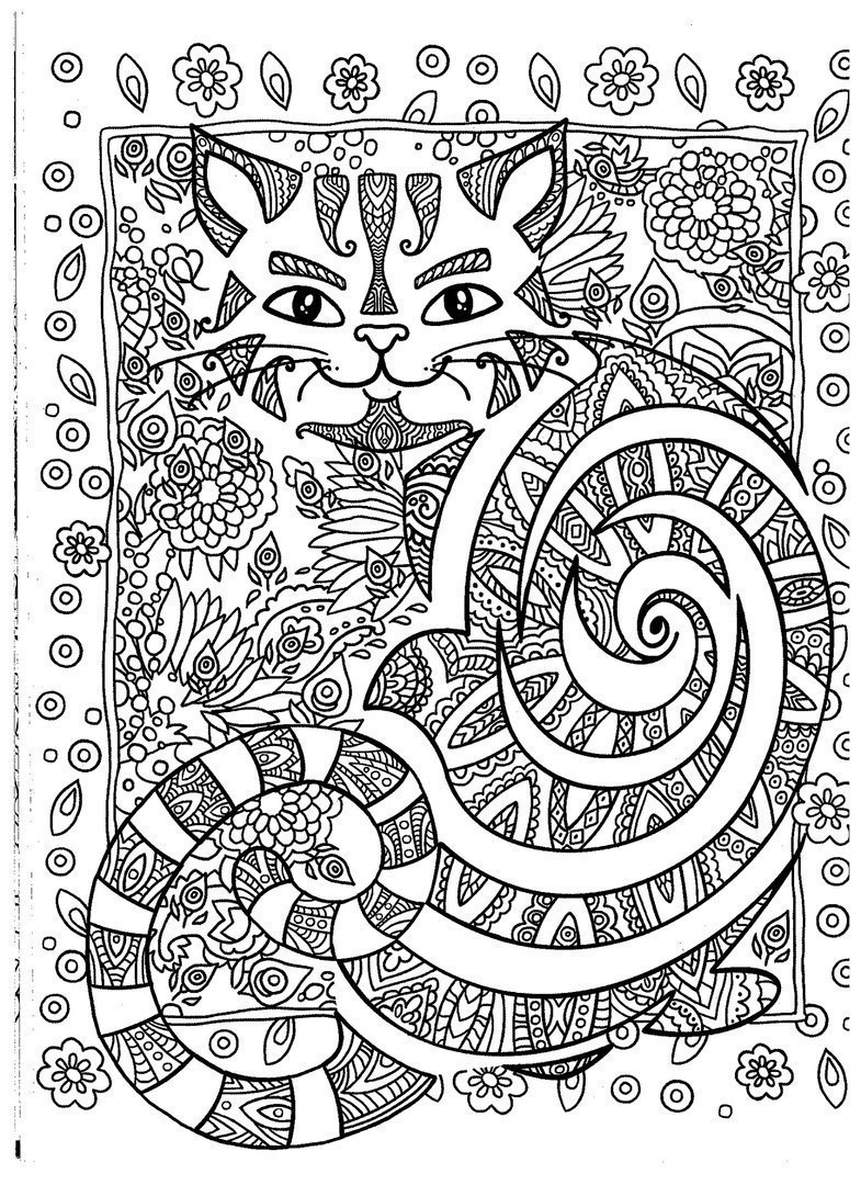 Раскраска Коты и волшебные миры