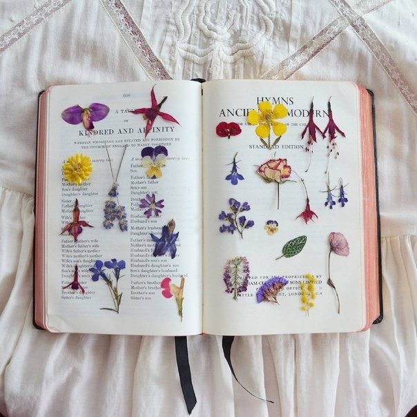 Гербарий в эпоксидной смоле от Miranda Min